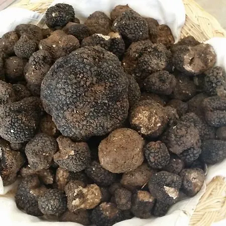 Il Casale Di Ginetto Landsted *